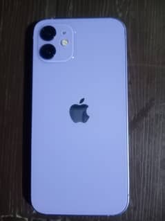 I phone 12