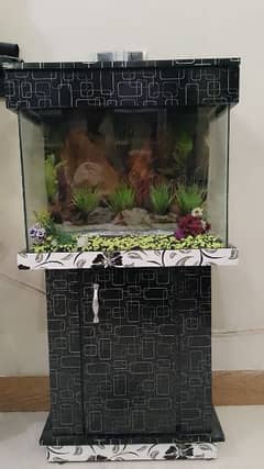 2 feet aquarium