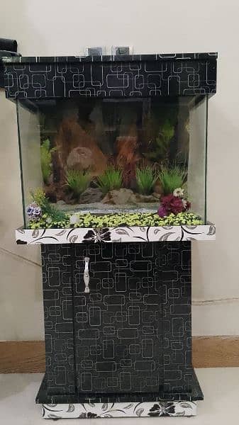 2 feet aquarium 0