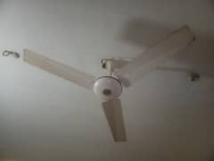 mehran celing fans with good condition 0