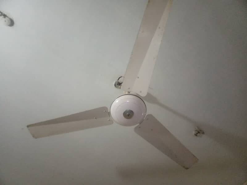 mehran celing fans with good condition 5