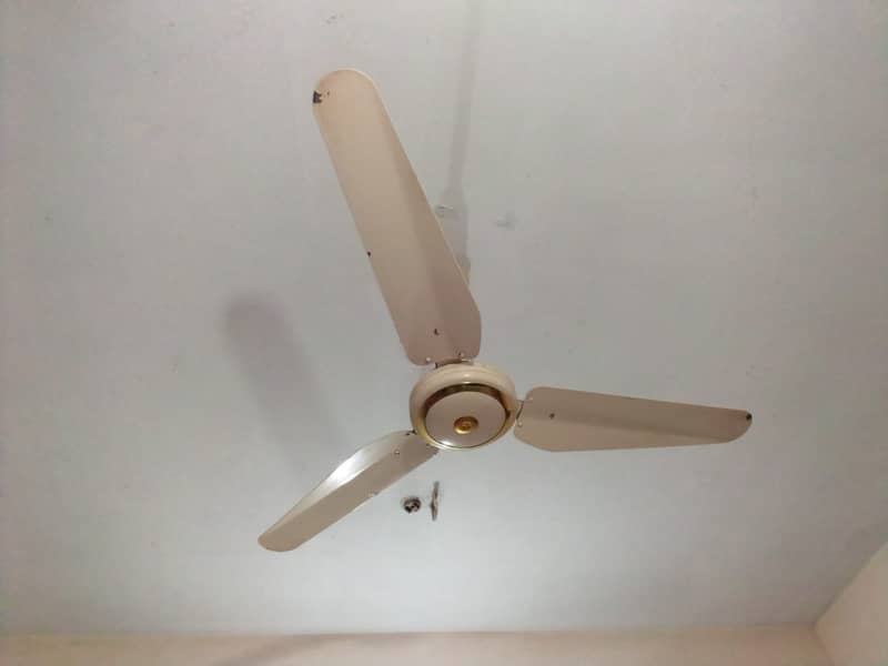 Super Asia Ceiling Fans 8