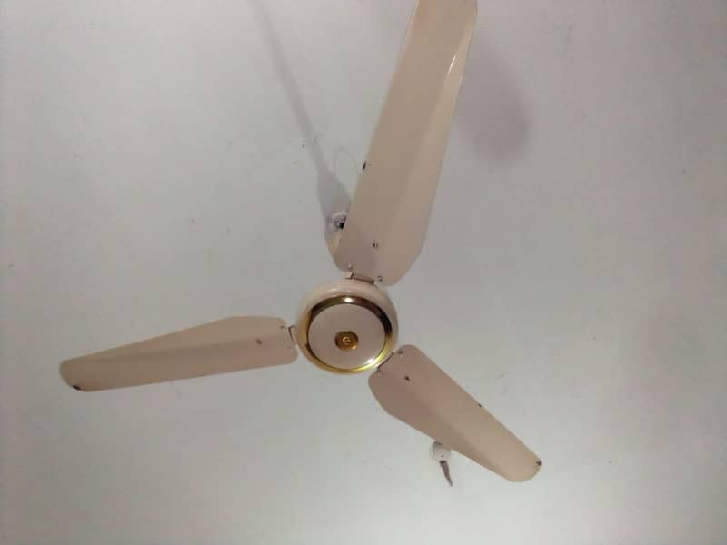 Super Asia Ceiling Fans 10