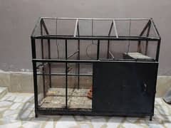 parrot & bird Cage