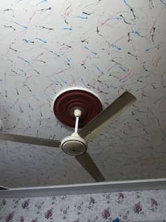 ceiling fan for sale