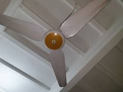 AFC ceiling fan used for sale. . . .