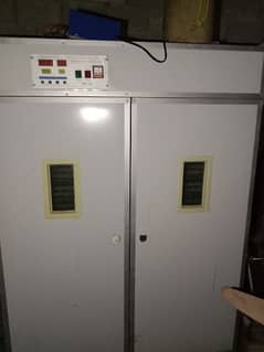 2100 eggs incubator for sale