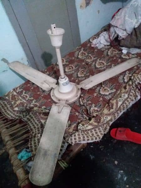 ceiling fan  used  ok condition 1