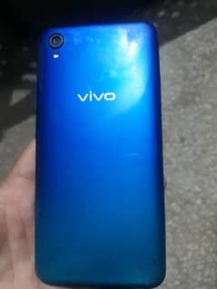 vivo