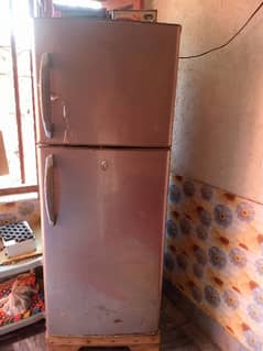 haier refrigerator