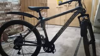 Original Caspian imported mountain cycle.    03087301593