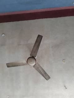 Ceiling Fan  for sale 0301,7029397