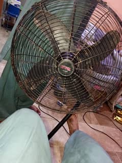 Royal wall fan full size Coper wire