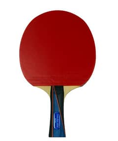 Professional Table Tennis Racket for Sale