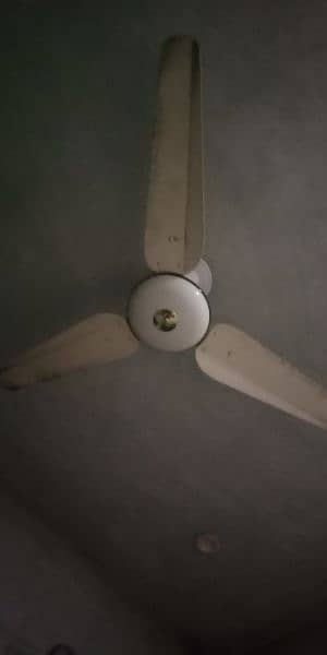 SK Ceiling fan deluxe model cream color 1