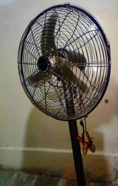 DC Pedestal Fan