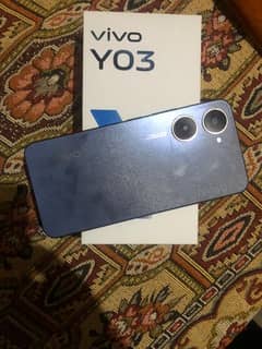 vivo yo3