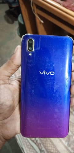 vivo