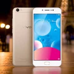 vivo