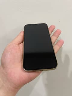 Iphone 12 Pro 256 Gb