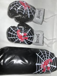 Boxing bag and Boxing golves