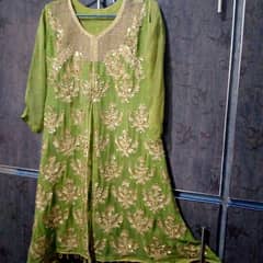 green parrot fancy suit