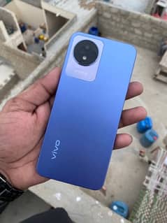 vivo