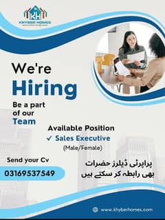 we are hiring realestate consultant agent  experience not mandatory