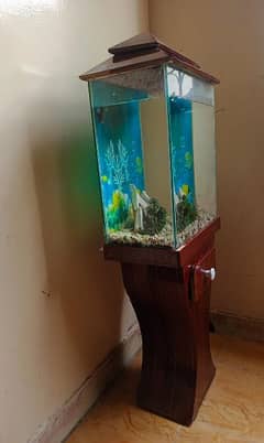 2 foot size aquarium