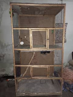 birds cage