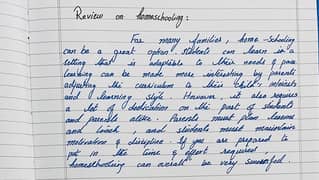 A Professional handwriter to make your assignments on time.