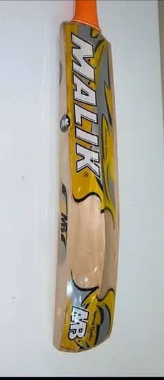 cricket bat / hard ball bat