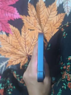 Iphone 13 Non pTa scratch less