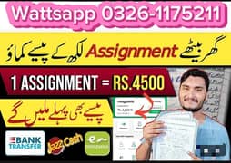 Assignment work without investment contact on wattsapp 0326-1175211