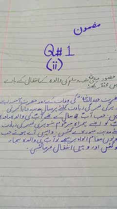 i write assignments in urdu and english