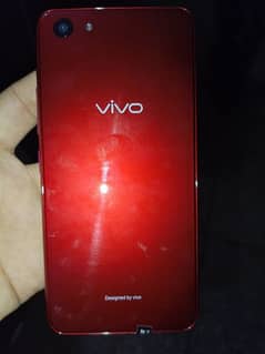 Vivo