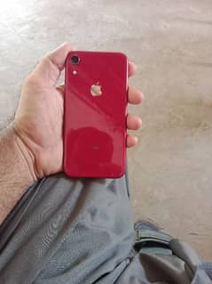 Iphone xr 64 Gb 0