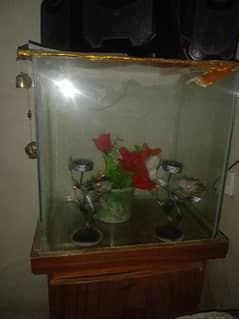 Fish Aquarium and Air pump