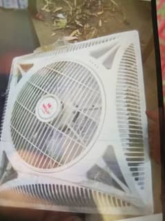 Ceiling Fan only 30 day Used