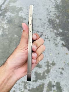 iPhone 13 Pro Max - Non PTA - 256 GB - 96% BH