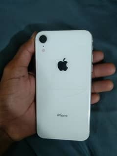 iPhone xr 10by9 condition waterpak jv 64 GB 81 battery health