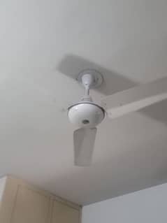 cealing fan