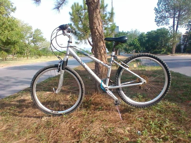 Raleigh Voyager ladies  mountain bike 0