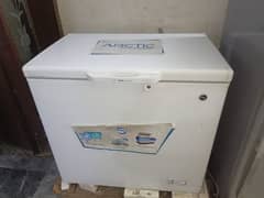 pet deep freezer