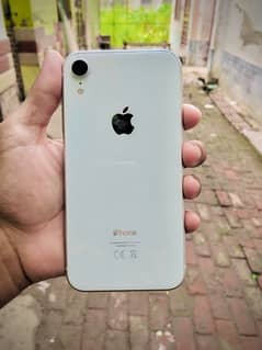 i phone xr