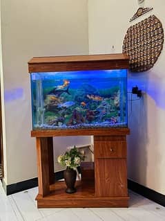 Fish Aquarium with wooden stand