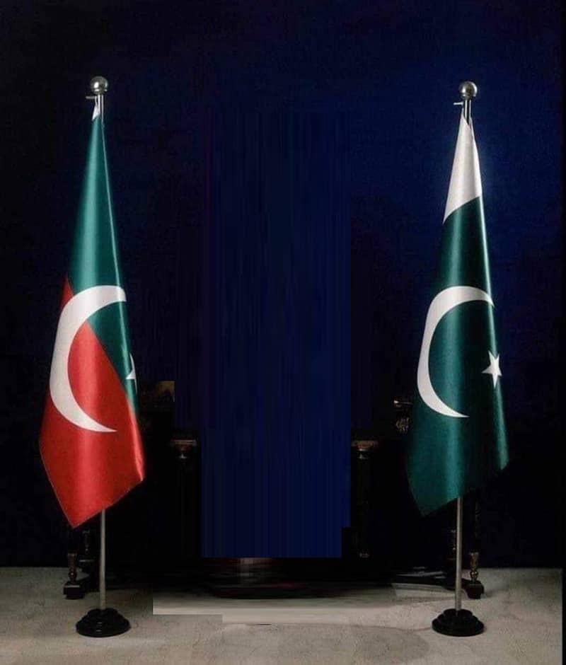 PTI Flag , Pakistan Flag & Pole | Indoor Company Flag & Office Pole 1