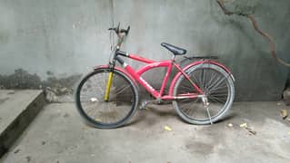 Cycle for sale