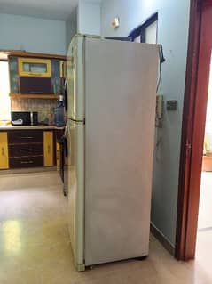 LG no frost refrigerator