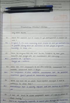 Handwriting